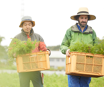 対応可能な職種について